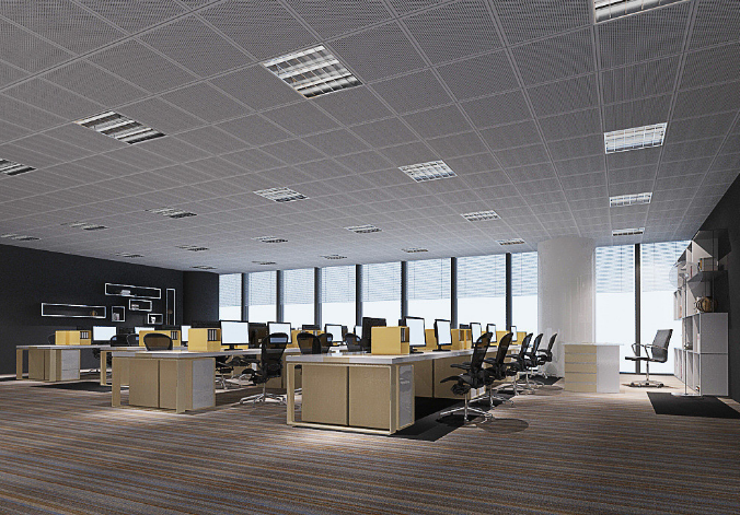 上海辦公室裝修設計:銅錢草,如何巧妙融入空間美學?